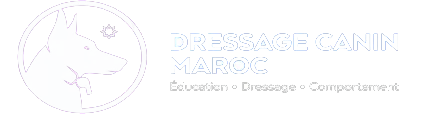 dressagecaninmaroc.com
