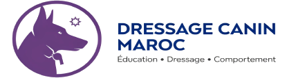 dressagecaninmaroc.com